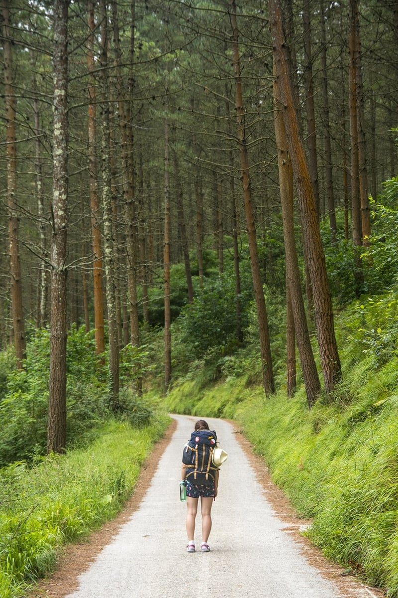 Walking Meditation in Nature